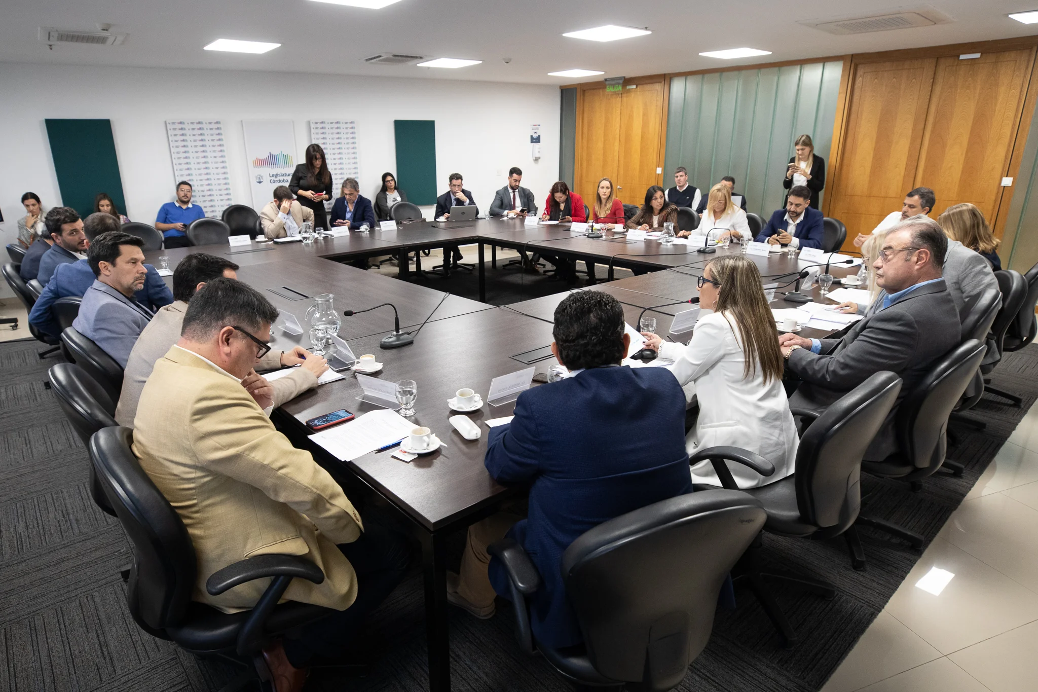 Comenzó a tratarse el proyecto de ley del equipo de Salud