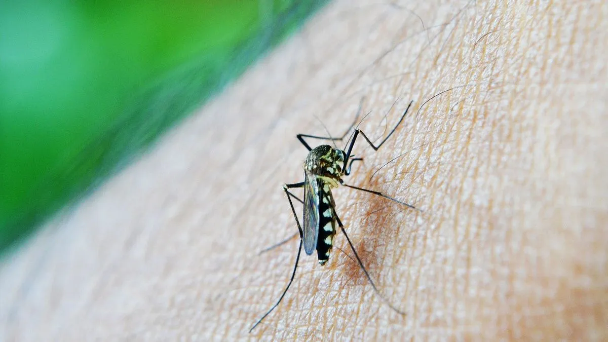 Dengue en Oliva: Siguen creciendo los casos y hay fumigaciones en distintos sectores
