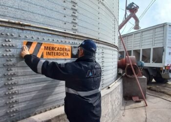 La AFIP incautó 222 toneladas en un operativo realizado en la región