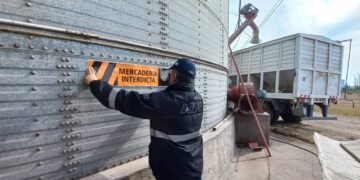La AFIP incautó 222 toneladas en un operativo realizado en la región