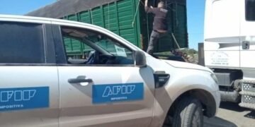 La AFIP desbarató maniobras de evasión con granos por más de 300 millones