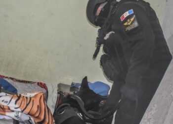 Cae integrante de una banda que comercializaba droga en la región