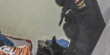 Operativo en Villa María: la FPA desarticula puntos de venta y secuestra estupefacientes