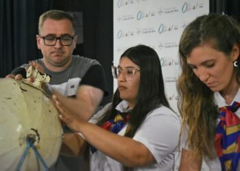 Oliva Trabaja: 41 nuevas oportunidades de empleo y formación