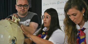 Oliva Trabaja: 41 nuevas oportunidades de empleo y formación