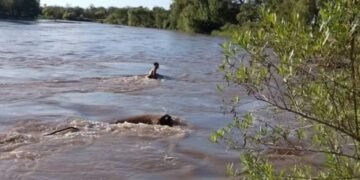 Eran de Tucumán los turistas rescatados del río en Pampayasta Sud