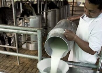 La decisión sobre el sector lácteo que afectará a Oliva y la región