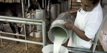 La decisión sobre el sector lácteo que afectará a Oliva y la región