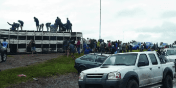 Viajaba hacia Oliva con un camión de hacienda, volcó y saquearon 40 animales