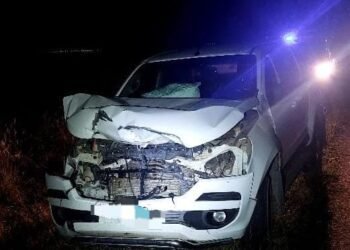 Familia de Colazo accidentada tras impactar contra una vaquillona cerca de James Craik