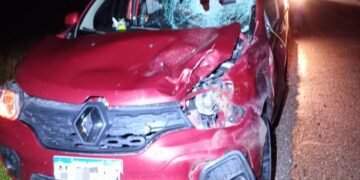 Utilitario impactó un ciervo en autopista cerca de Oncativo