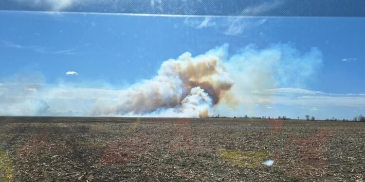 Bomberos combaten incendio entre Manfredi y Oncativo