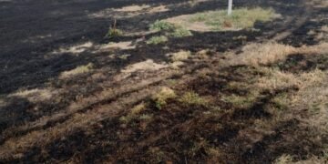 Un detenido por incendiar pastizales en Luque y dos intervenciones en Oncativo por parte de Patrulla Rural
