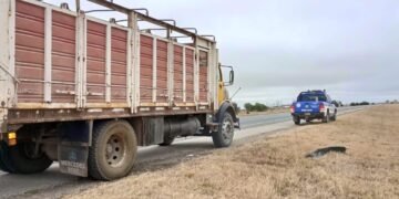 Nueva intervención de Patrulla Rural en Oncativo