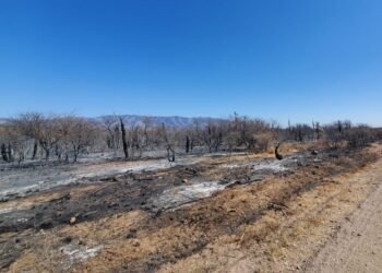 Río Tercero: encendió fuego para quemar basura cerca del río y terminó detenido