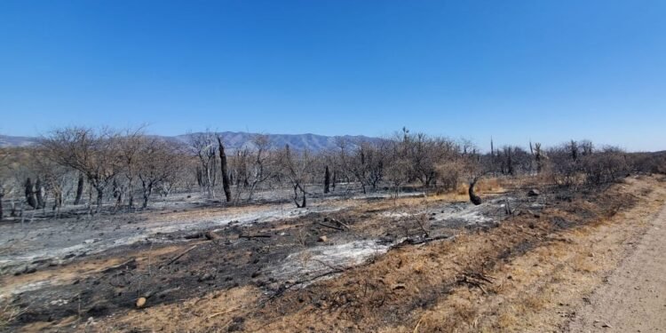 Río Tercero: encendió fuego para quemar basura cerca del río y terminó detenido