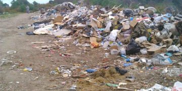 Presentan amparo judicial por los basurales de cinco localidades de la zona