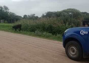 Dos intervenciones en Pampayasta Norte de Patrulla Rural