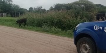 Dos intervenciones en Pampayasta Norte de Patrulla Rural