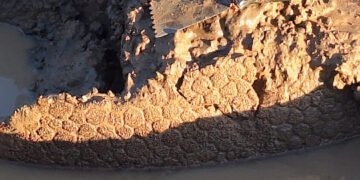 Hallazgo en Pampayasta Sud: La Provincia brindó detalles y aclaró cómo sigue el trabajo