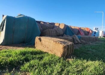 Dos accidentes de tránsito en Hernando y Las Perdices