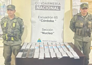 Gendarmería intercepta en ruta 9 un cargamento de celulares de contrabando