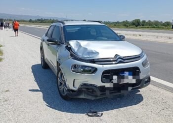 Trágico accidente fatal en la Autovía Calamuchita: reconocida docente y ciclista pierde la vida