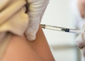 Nuevos casos de fiebre hemorrágica argentina en la región: qué dijeron desde Salud provincial