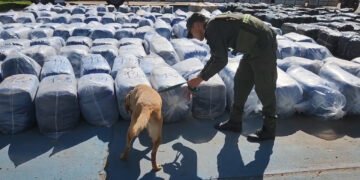 Incautan millonario cargamento de hojas de coca en peaje de James Craik