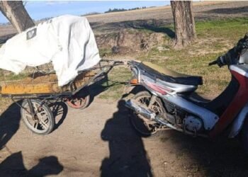 Detectan un hecho de caza ilegal y secuestran un vehículo en Las Perdices