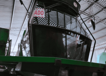 Inspección, control y clausura en establecimiento agropecuario de Manfredi tras control fitosanitario