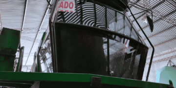 Inspección, control y clausura en establecimiento agropecuario de Manfredi tras control fitosanitario