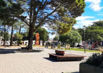 Censo 2025: Más de un 30% de la población de Oliva no cuenta con vivienda propia