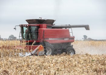 De que se trata el Registro Provincial del Propietario Conductor: los beneficios, a quienes alcanza y cómo inscribirse