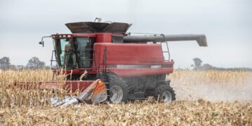 De que se trata el Registro Provincial del Propietario Conductor: los beneficios, a quienes alcanza y cómo inscribirse