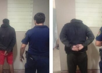 Detenciones por hechos de robo y hurto en la zona: lo reportado por la Policía