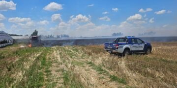 Un incendio rural por quema de basura afectó 70 hectáreas de soja en Villa María