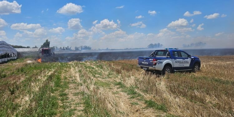 Un incendio rural por quema de basura afectó 70 hectáreas de soja en Villa María