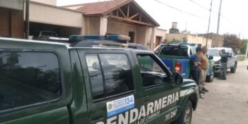 James Craik: Rescatan a un flamenco en cautiverio tras un allanamiento por caza furtiva