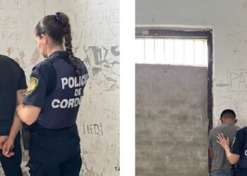 Múltiples detenidos por daño, lesiones y hurto en Oliva