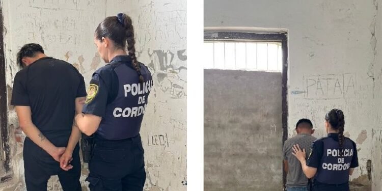 Múltiples detenidos por daño, lesiones y hurto en Oliva