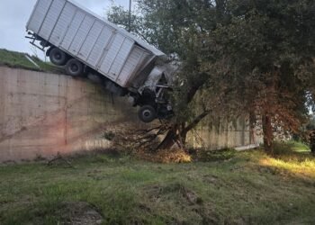 Siniestro vial en Pilar: Choque entre camiones generó riesgo de caída en el puente de Ruta 13