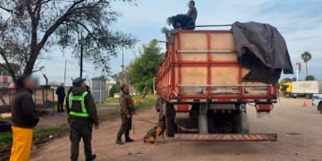 Histórico operativo en Villa Nueva: Secuestran 1.100 litros de éxtasis líquido en un camión internacional