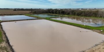 Oncativo: La Planta de Tratamiento de Líquidos Cloacales alcanzó la optimización exigida por la Provincia