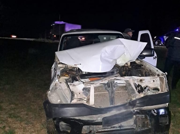 Luque: Se salvó de milagro tras chocar contra equinos en la Ruta 13