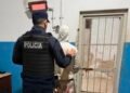 Oliva: Aprehendieron a un joven por violencia familiar y secuestraron una moto en operativos preventivos