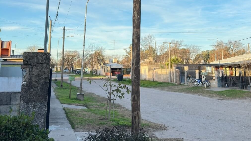 Postes de madera en Oliva: Demaría denuncia una "violación flagrante" a la normativa vigente