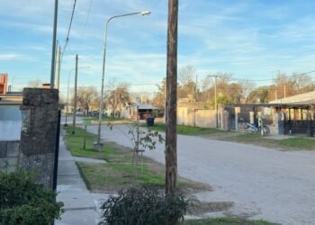Postes de madera en Oliva: Demaría denuncia una "violación flagrante" a la normativa vigente