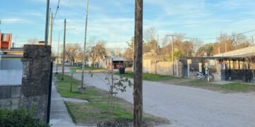 Postes de madera en Oliva: Demaría denuncia una "violación flagrante" a la normativa vigente