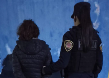 Hernando: Detuvieron a una mujer de 32 años que llevaba una cuchilla y cables tras inspeccionar camiones en la vía pública